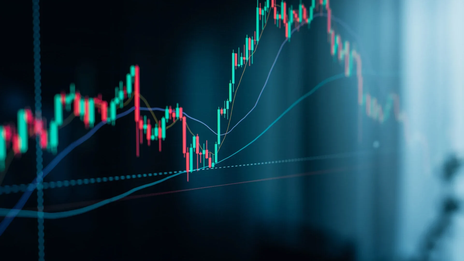 crypto-coins-and-graphs-in-the-computer-screen-2025-03-13-00-24-55-utc